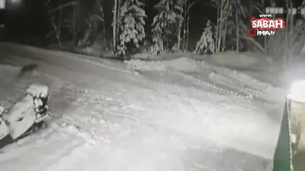 Kahraman Kopegin 10 Yasindaki Cocugu Kurt Saldirisindan Kurtardigi Dehset Anlari Kamerada Video Videosunu Izle Son Dakika Haberleri