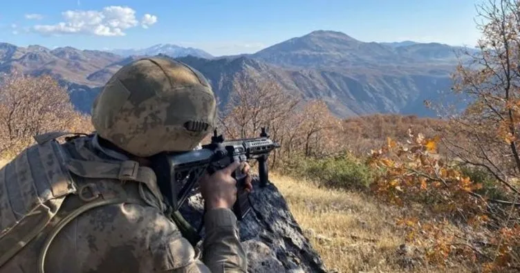 PKK’da çözülme sürüyor! 1 terörist daha teslim oldu