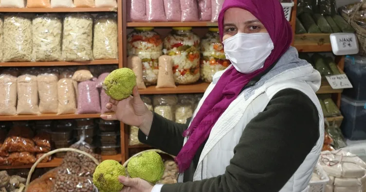 Adı yalancı ama kendisi tam bir şifacı!