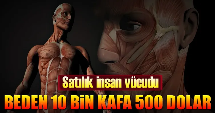 ABD’de fakirlerin bedeni karaborsa
