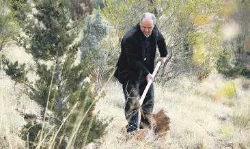 Çorak arazileri ormana dönüştürüyor #aksaray