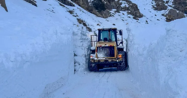 Van’da 4 ilçede eğitime kar engeli