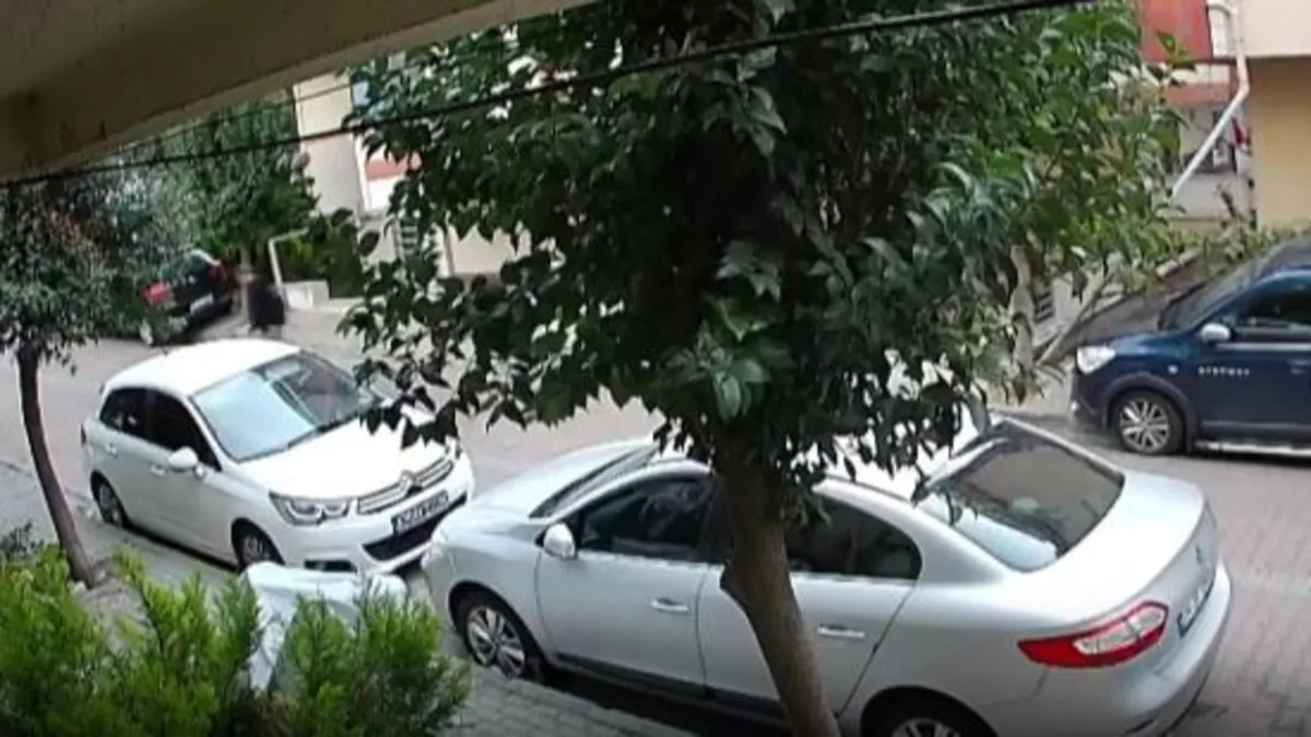 Abisini iki yıl önce zıpkınla yaralayan kardeş bu defa kurşunladı Abisini iki yıl önce zıpkınla yaralayan kardeş bu defa kurşunladı