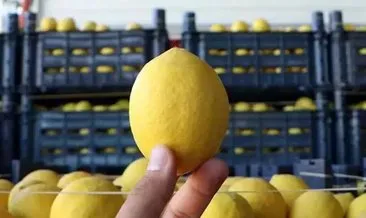 Limon fiyatının suyu çıktı: Kilogramı 100 TL’ye kadar yükseldi