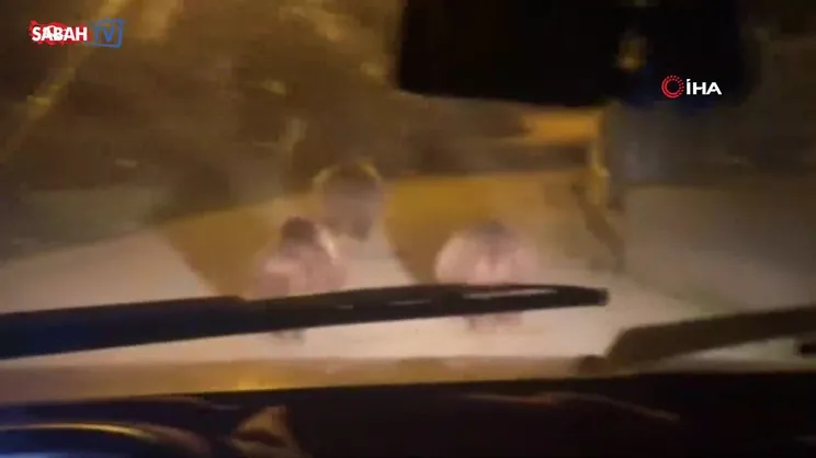 Devrek’te aç kalan ayılar köye indi