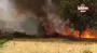 Şanlıurfa’da yangın paniği | Video