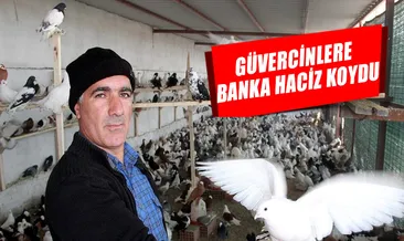 Güvercinlere haciz