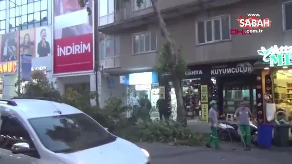 Adıyaman'da şiddetli rüzgar: Ağaçların üzerine düştü | Video