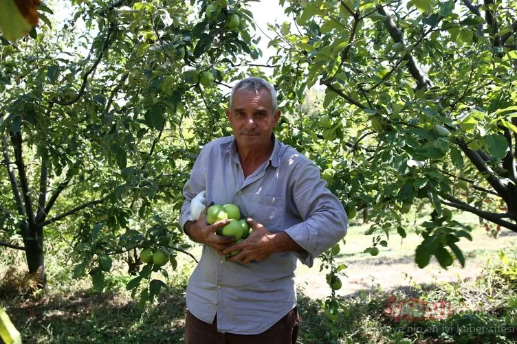 Meyvenin filozofları bu köyde... Türkiye’nin meyve deposu Babasultan Köyü