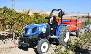 Meyve bahçesinde meyve hasadı zamanı