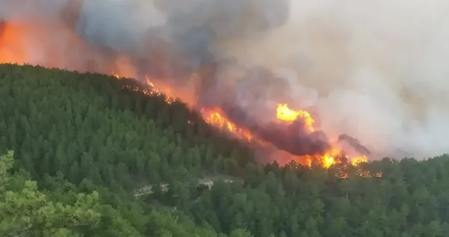 Son dakika: Kütahya'da orman yangını çıktı!