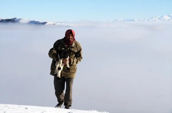 Muş Ovası’ndan muhteşem görüntüler
