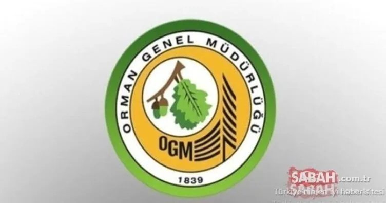 OGM personel alımı 2023 başvuru ekranı: 1128 OGM personel alımı başvuruları şartları, kontenjanları ve branş dağılımı