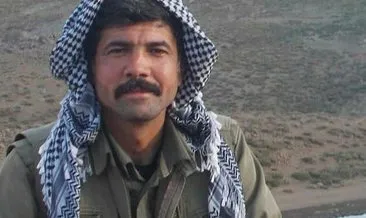 KCK iddianamesinin firari sanığı PKK’lı Ali Durç hakkında son dakika haberi