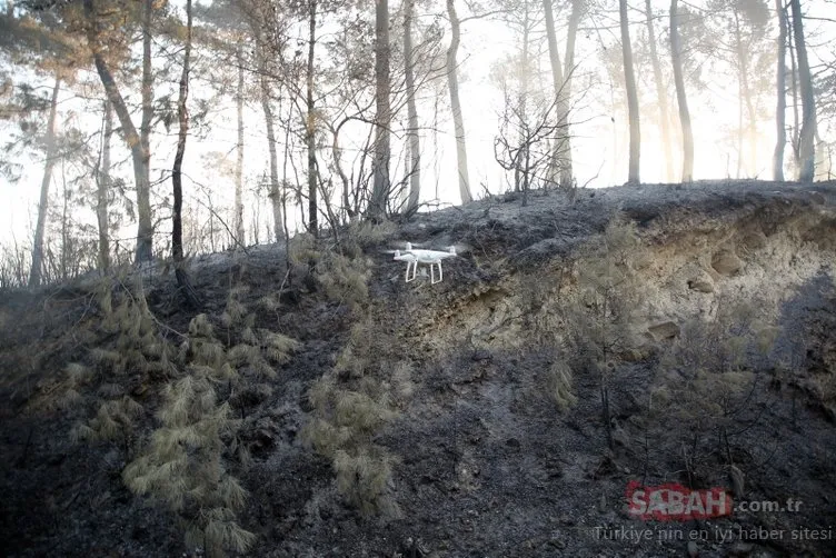 Adana Kozan’daki yangında 280 futbol sahası büyüklüğündeki orman ve tarla kül oldu