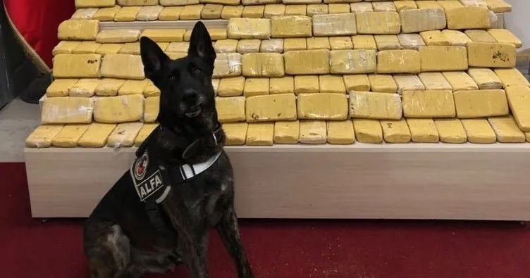 Pul biber ile kamufle edilen eroin, narkotik köpeği Alfa’ya takıldı