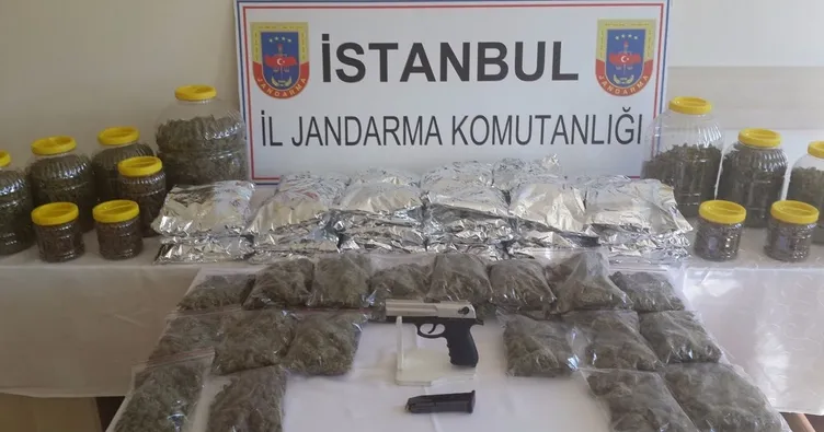 Jandarmadan dev operasyon