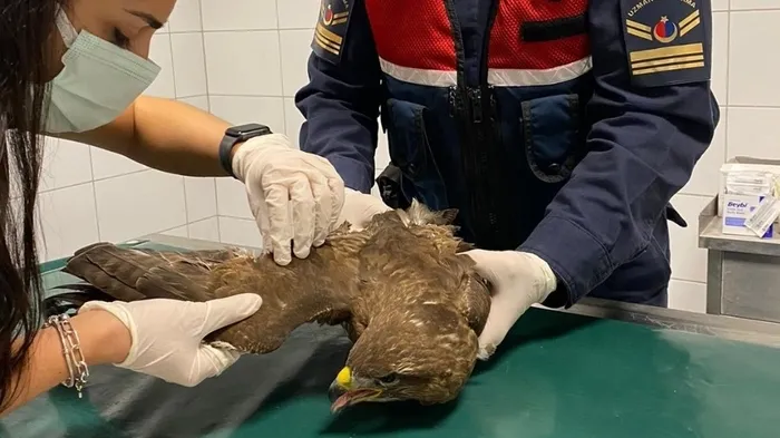 https www sabah com tr kirikkale