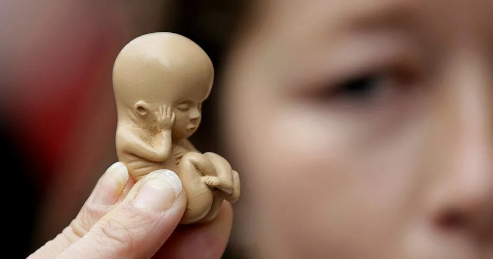 Hamilelikte düşük ve tekrarlayan düşük neden olur? Nasıl Hamilelikte düşük ve tekrarlayan düşük neden olur? Nasıl