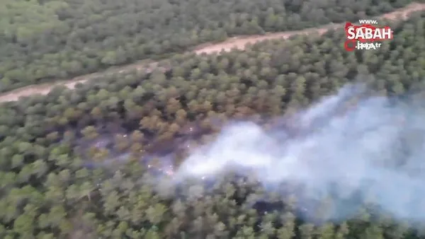 Son Dakika: İstanbul Kayışdağı'nda orman yangını | Video