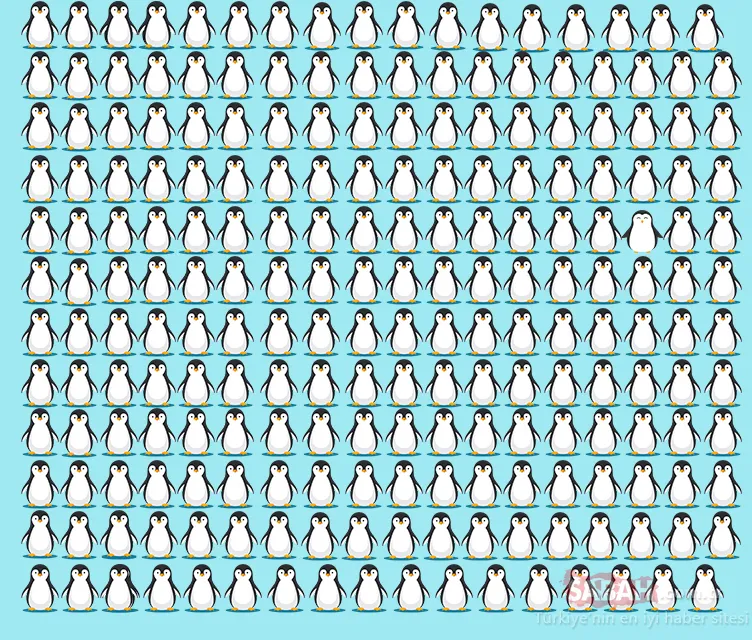 Koyunların içindeki kurdu 10 saniyede fark ederseniz bir dahisiniz! Bu optik illüzyon testini yalnızca 32 kişi geçebildi