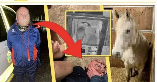 Dünya bu iğrenç olayı konuşuyor! İsveç'te ata tecavüz eden PKK'nın sözde sorumlusu tutuklandı