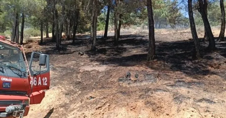 Kahramanmaraş’taki orman yangını kontrol altına alındı