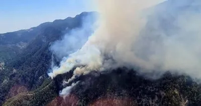 Son dakika haberi | Muğla Köyceğiz’de yangın: Helikopterler ve uçaklarla müdahale ediliyor