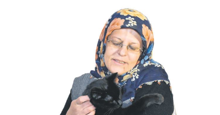 ‘Kedici Kadın’ 80 kediye annelik yapıyor
