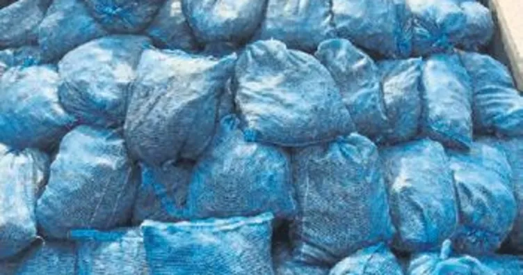 TIR’da 24 ton kaçak midye ele geçirildi