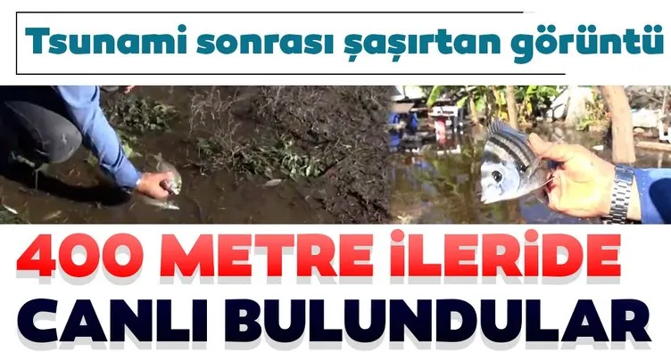 Son dakika haberleri: İzmir’de tsunami sonrası şaşırtan görüntü! 400 metre ileride canlı halde bulundular...