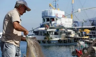 Balık avı başladı, istavritin fiyatı yarıya düştü