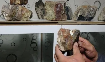 Tam 160 milyon yıllık! Erzurum’da bulundu...