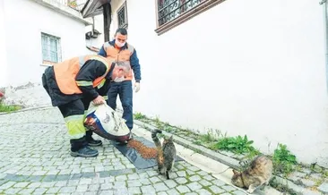 Kale’nin minik yavrularına mama desteği