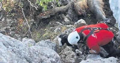 Kurtlar saldırdı, itfaiye kurtardı