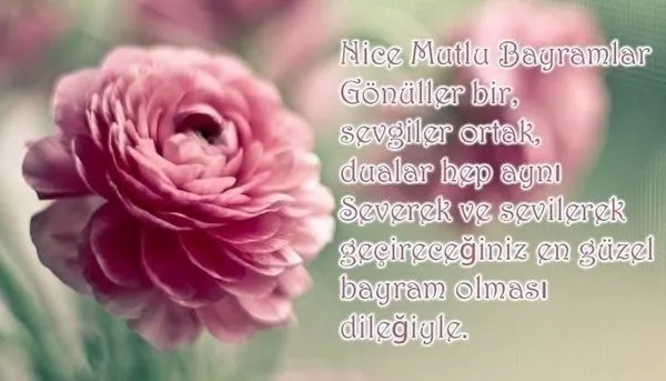 Bayram mesajları ve sözleri 2022 | Yeni, resimli, en güzel, anlamlı, kısa ve uzun Ramazan Bayramı mesajları ve sözleri seçenekleri