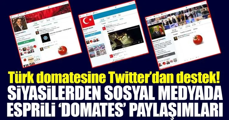 Siyasilerden Türk domatesine Twitter’dan destek!