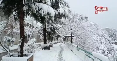 Artvin’de kar yağışı etkili oldu, kartpostallık görüntüler oluştu | Video