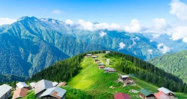 Karadeniz Bölgesi’nde Yetişen Tarım Ürünleri - Karadeniz Bölgesi’nde Yetişen Sebzeler ve Meyveler Nelerdir?