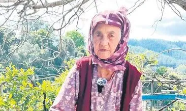 Cumhuriyet’le yaşıt asırlık çınarlar #mugla