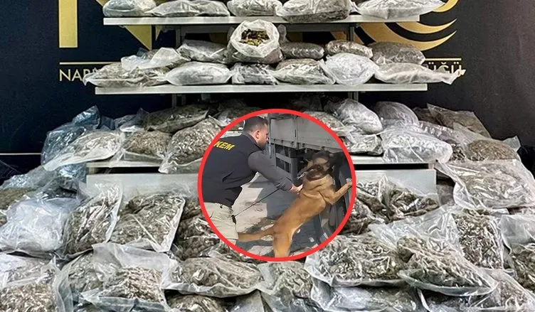 Adana’da şaşkına çeviren görüntü: Köpek Hulk hepsini buldu!