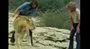 Tüm dünya onu bu videoyla tanımıştı! Aslan adama veda... | Video