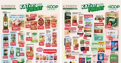 KASIM İNDİRİMLERİ! TARIM KREDİ KATALOĞU 11-17 Kasım: Zeytinyağı, dana kuşbaşı, çamaşır suyu...