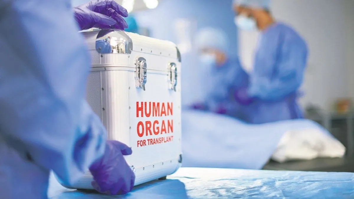 Duyun bu yaşam çığlığını!