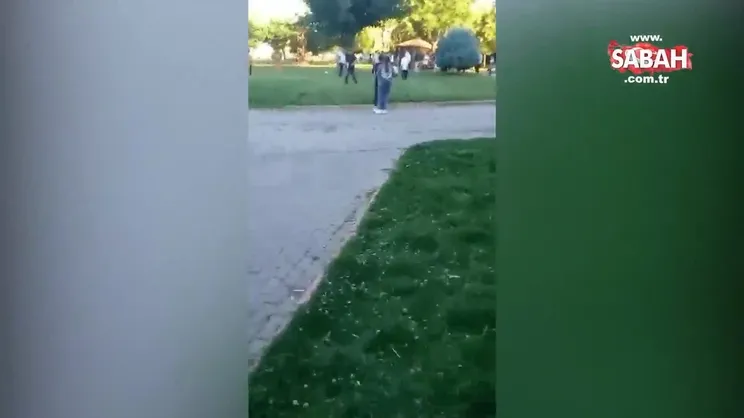 Şanlıurfa’da başıboş köpekler saldırmıştı! Köpekler kuduz çıktı…