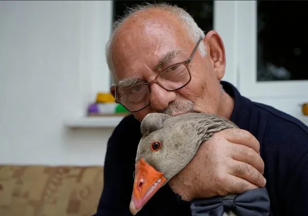 bir-kazin-aile-hikayesi-suruden-koptu-dedeye-tutundu-1792308726252.jpg