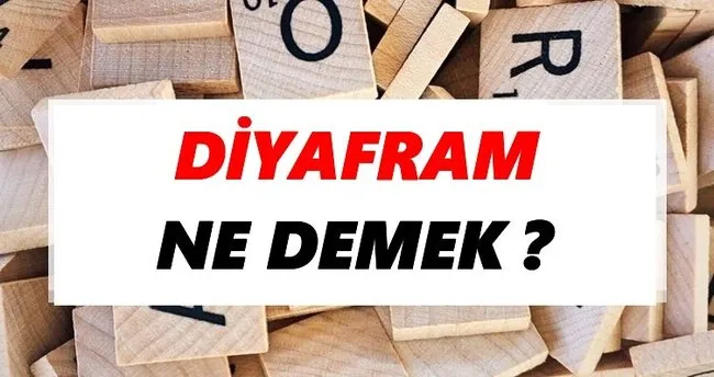 Diyafram Ne Demek? TDK’ya Göre Diyafram Sözlük Anlamı Nedir?