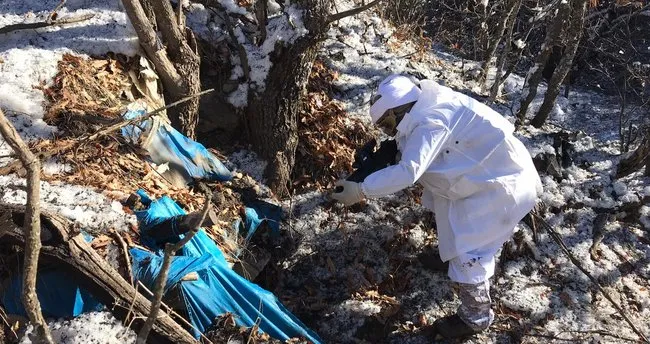 Siirt'te PKK'lı teröristlere ait silah ve mühimmat ele geçirildi