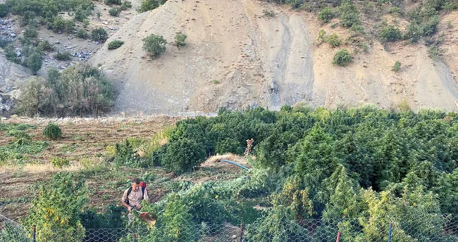 Diyarbakır’da 1 ton 530 kilogram esrar ele geçirildi Diyarbakır’da 1 ton 530 kilogram esrar ele geçirildi
