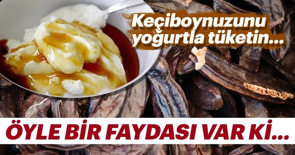 Keciboynuzu Pekmezinin Faydalari Saymakla Bitmiyor Iste Yogurtla Tuketilen Keciboynuzunun Mucizevi Faydalari Kadin Haberleri